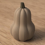 Butternut Kürbis Farbvarianten
