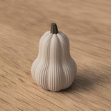 Butternut Kürbis Größenvergleich